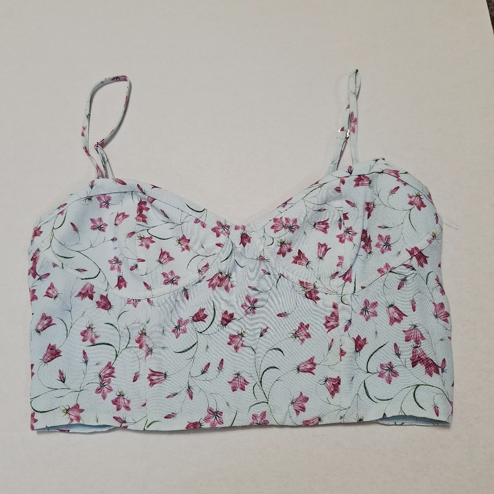 Aritzia Sun deh Blue  bustier  cropped top